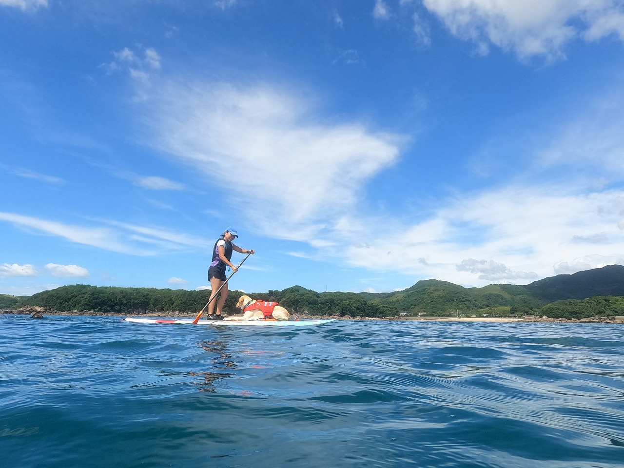 夏。はじまってますよ！