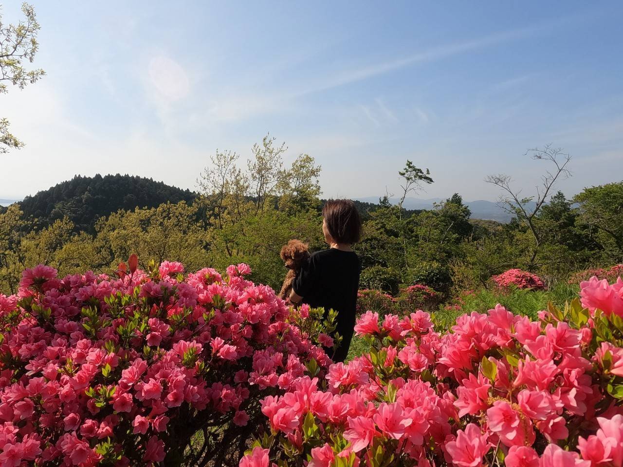 阿久根の丘の中にある自然公園