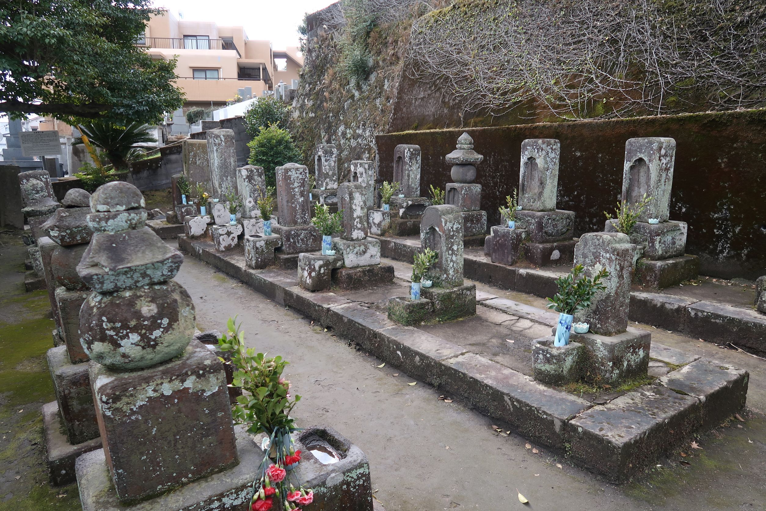 【西郷家の墓地】西郷隆盛の家族のお墓紹介