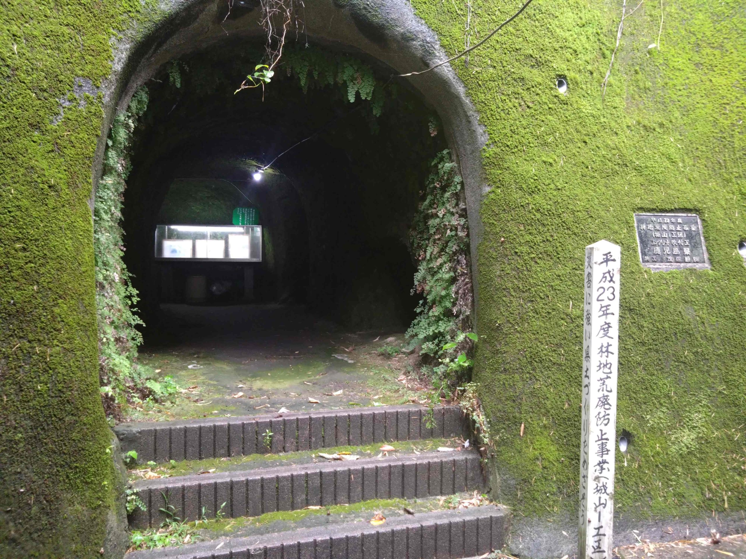 鹿児島県民もあまり知らない！？西郷洞窟の楽しみ方 | カゴシマガジン