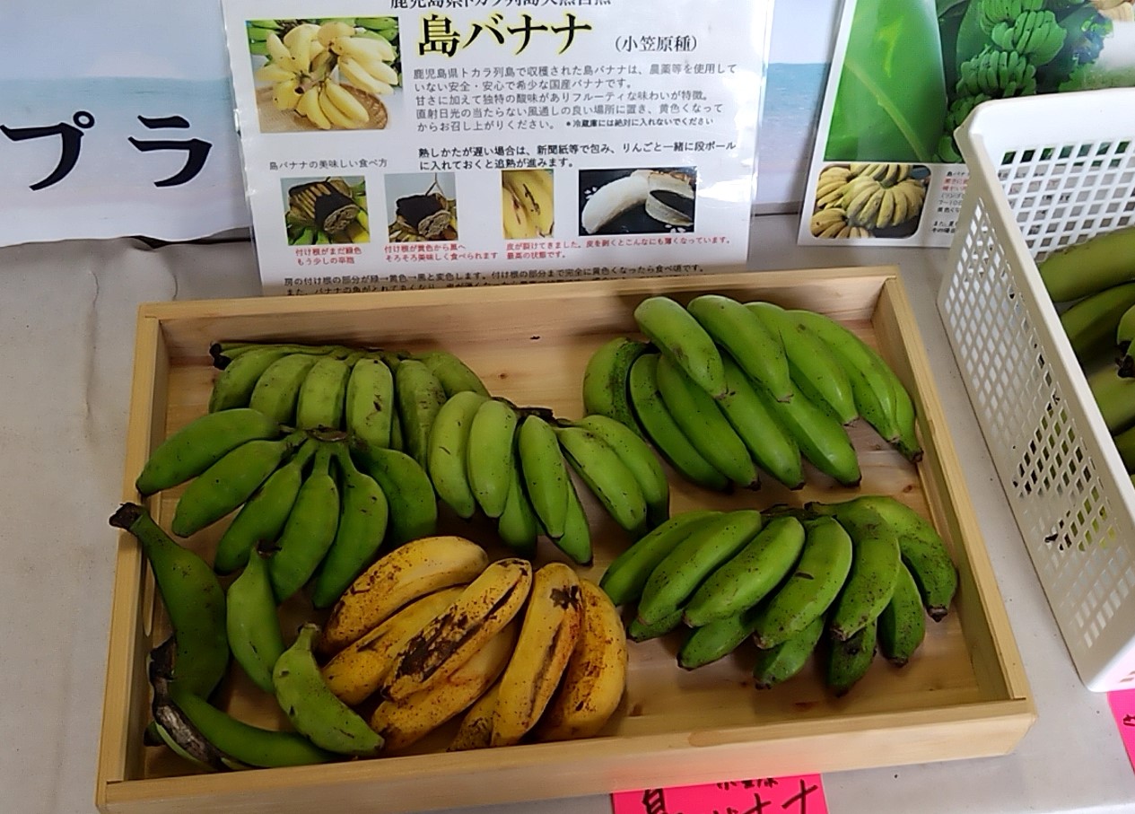 鹿児島市でトカラ気分を味わえる！おもしろ特産品販売所！