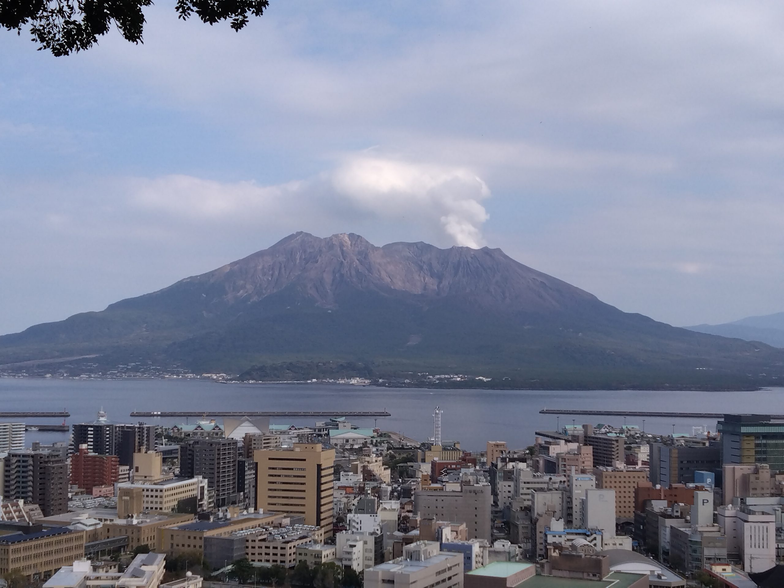 【鹿児島マラソン】ぜひ見て欲しいコース上の注目スポット！