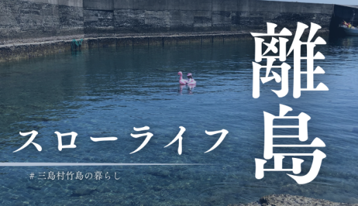 島暮らしがスローライフって言ったの誰？全然スローじゃない三島村竹島の暮らし